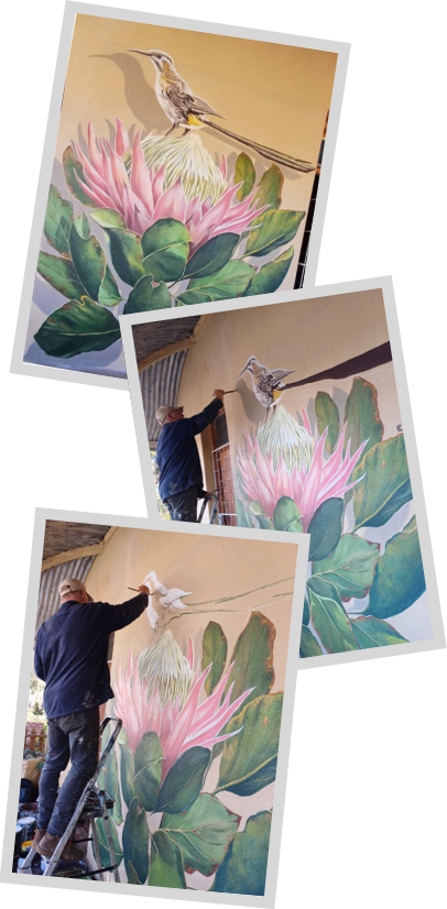 Revive Willowmore Protea